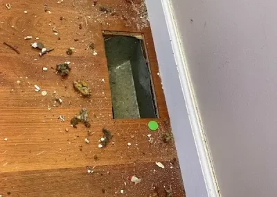 Professional Air Duct Cleaning